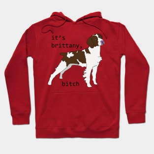 What type of spaniel is that? Hoodie